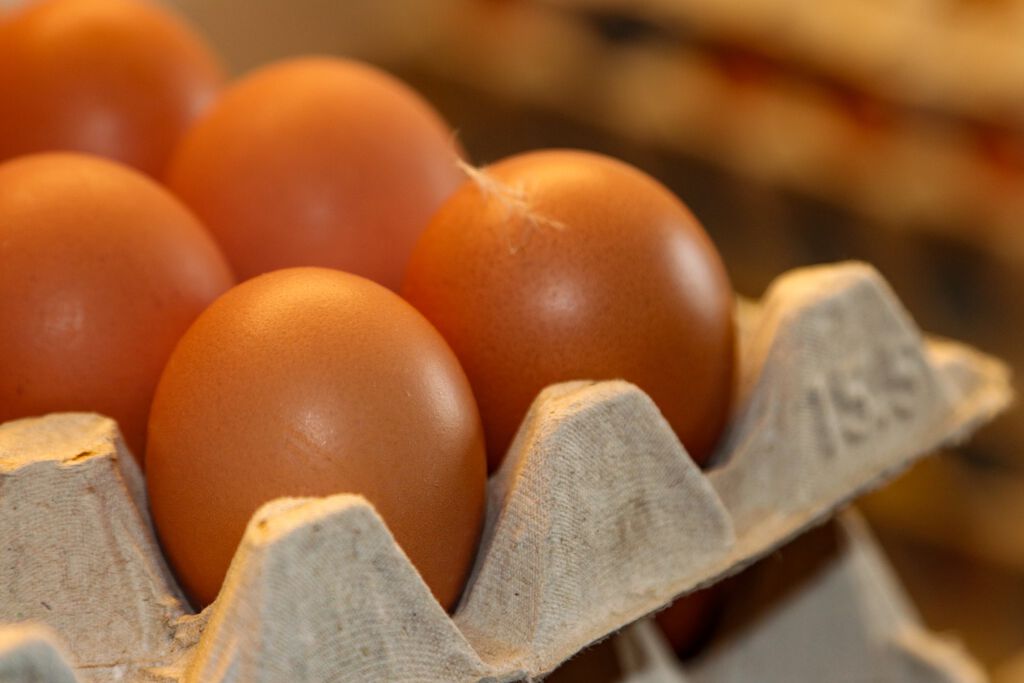 Eier