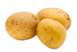 Kartoffeln